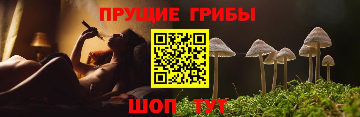 Галлюциногенные грибы Cubensis Краснознаменск